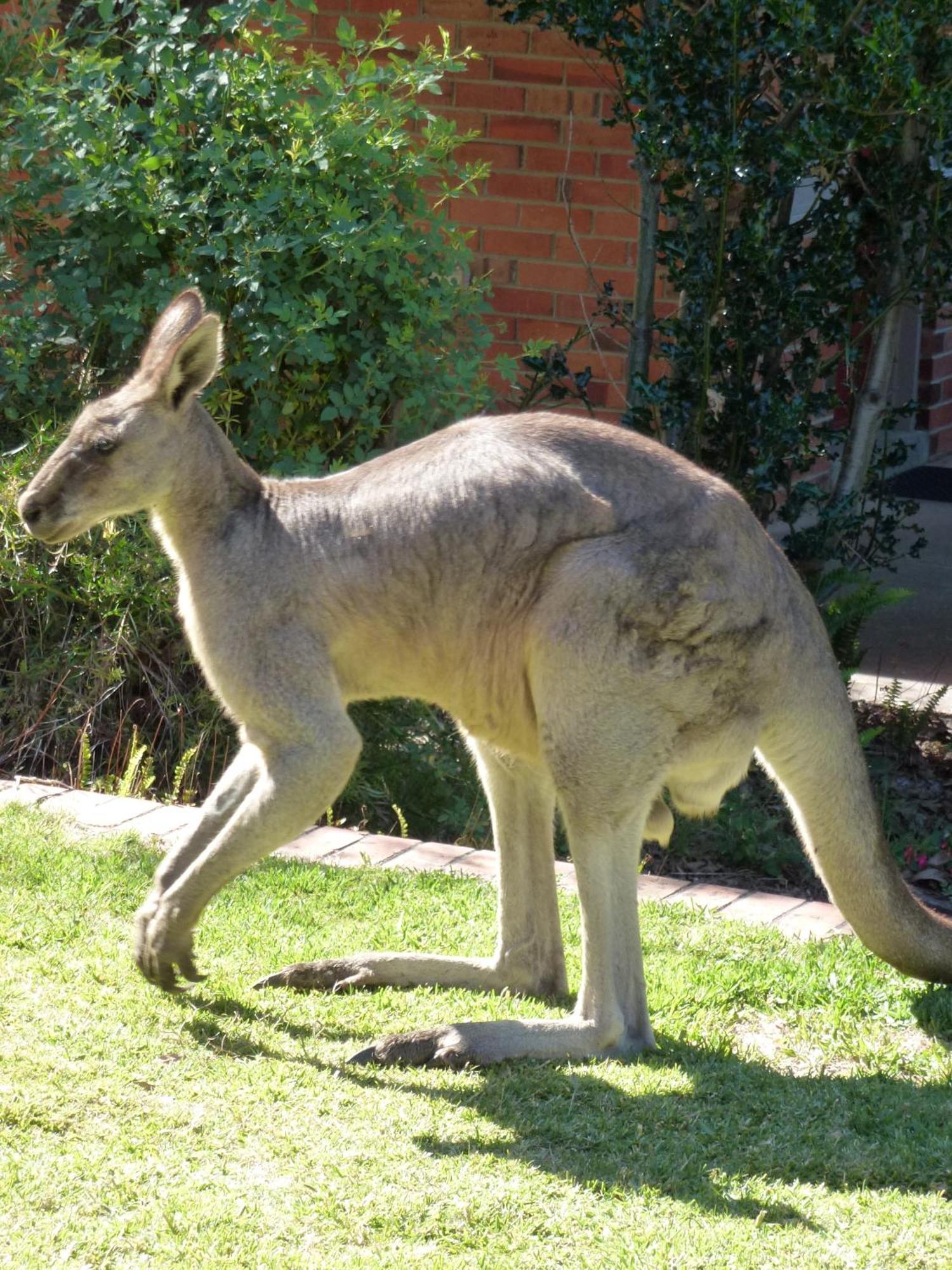 The Grampians 3* Halls Gap